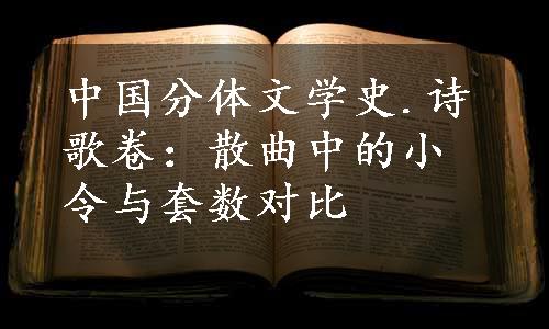 中国分体文学史.诗歌卷：散曲中的小令与套数对比
