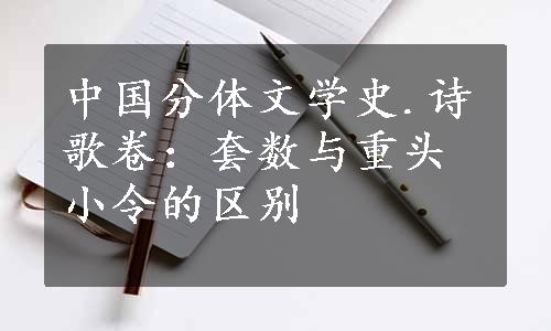 中国分体文学史.诗歌卷：套数与重头小令的区别
