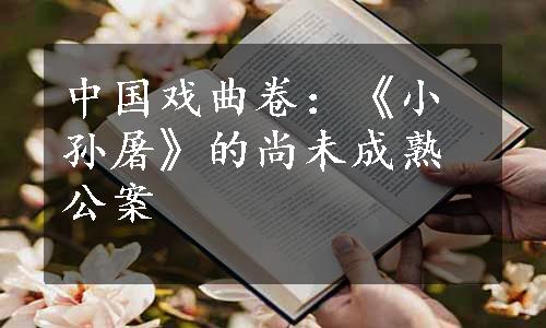 中国戏曲卷：《小孙屠》的尚未成熟公案