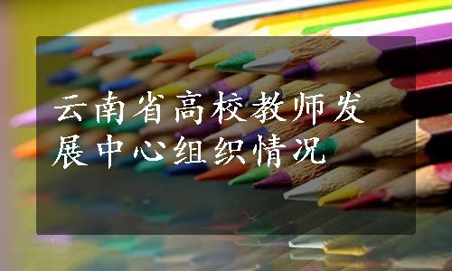 云南省高校教师发展中心组织情况