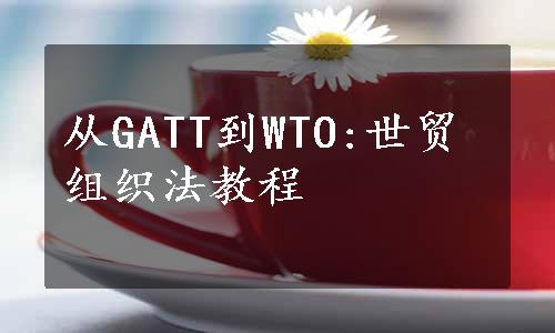 从GATT到WTO:世贸组织法教程