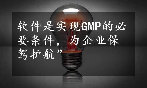 软件是实现GMP的必要条件，为企业保驾护航”