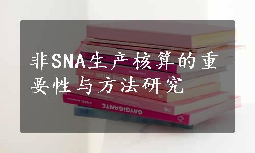 非SNA生产核算的重要性与方法研究