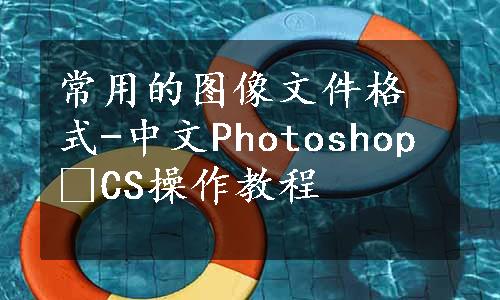 常用的图像文件格式-中文Photoshop CS操作教程