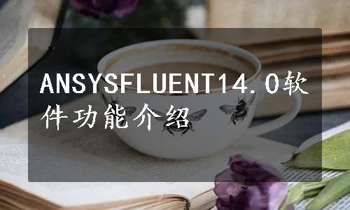 ANSYSFLUENT14.0软件功能介绍