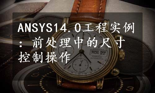 ANSYS14.0工程实例：前处理中的尺寸控制操作