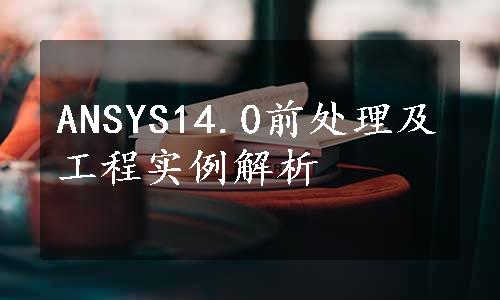 ANSYS14.0前处理及工程实例解析