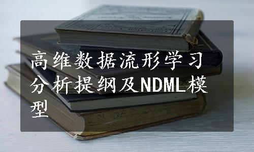 高维数据流形学习分析提纲及NDML模型