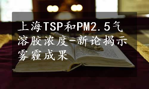 上海TSP和PM2.5气溶胶浓度-新论揭示雾霾成果