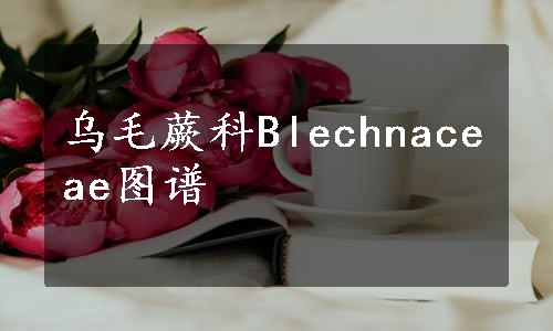 乌毛蕨科Blechnaceae图谱