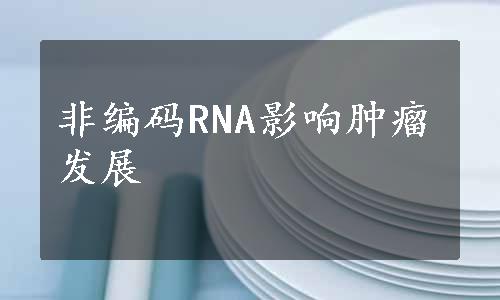 非编码RNA影响肿瘤发展