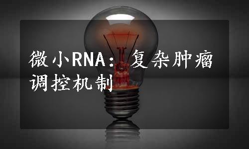 微小RNA：复杂肿瘤调控机制