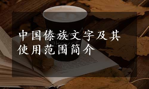 中国傣族文字及其使用范围简介