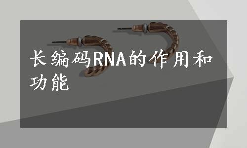 长编码RNA的作用和功能