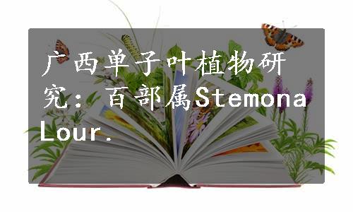 广西单子叶植物研究：百部属StemonaLour.