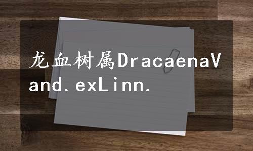 龙血树属DracaenaVand.exLinn.