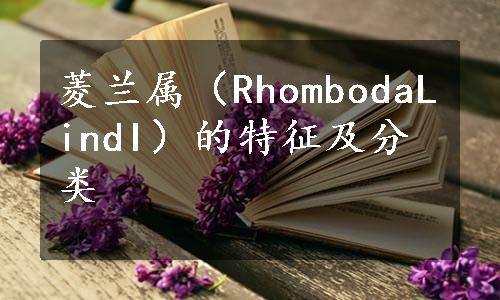 菱兰属（RhombodaLindI）的特征及分类