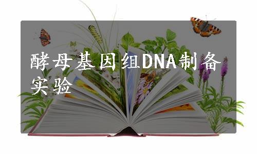酵母基因组DNA制备实验