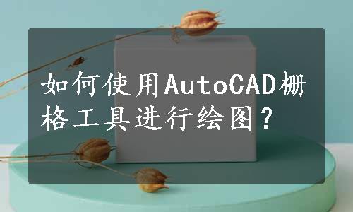 如何使用AutoCAD栅格工具进行绘图？