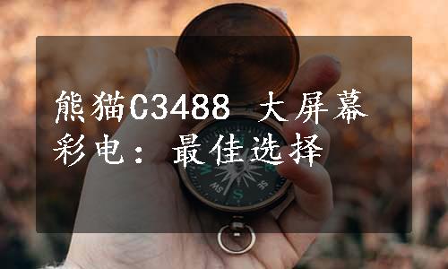 熊猫C3488 大屏幕彩电：最佳选择