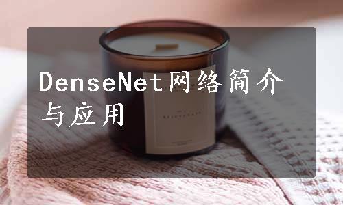 DenseNet网络简介与应用
