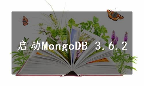 启动MongoDB 3.6.2