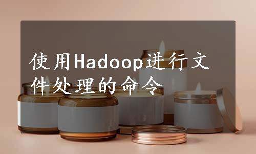 使用Hadoop进行文件处理的命令