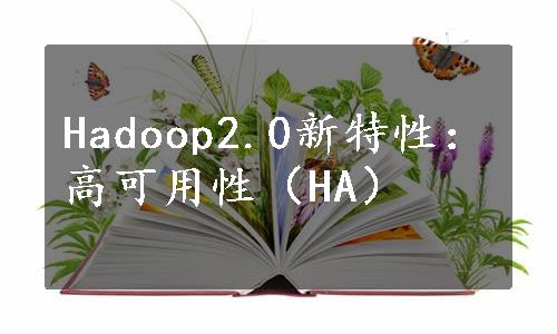 Hadoop2.0新特性：高可用性（HA）
