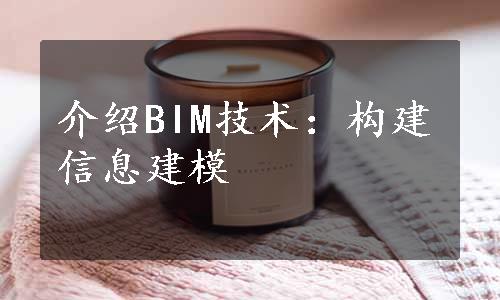 介绍BIM技术：构建信息建模