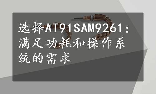 选择AT91SAM9261：满足功耗和操作系统的需求