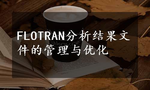 FLOTRAN分析结果文件的管理与优化