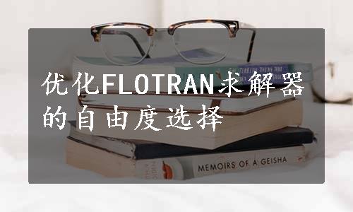 优化FLOTRAN求解器的自由度选择