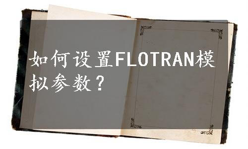 如何设置FLOTRAN模拟参数？
