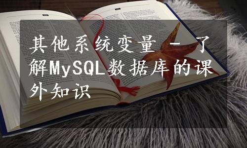 其他系统变量 - 了解MySQL数据库的课外知识