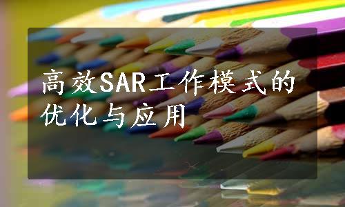 高效SAR工作模式的优化与应用
