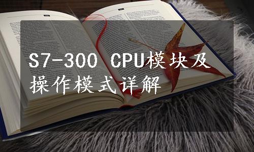 S7-300 CPU模块及操作模式详解