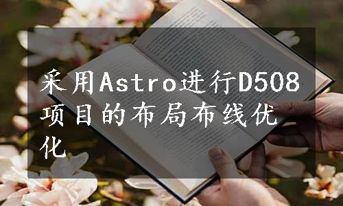 采用Astro进行D508项目的布局布线优化