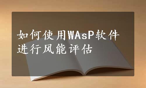 如何使用WAsP软件进行风能评估
