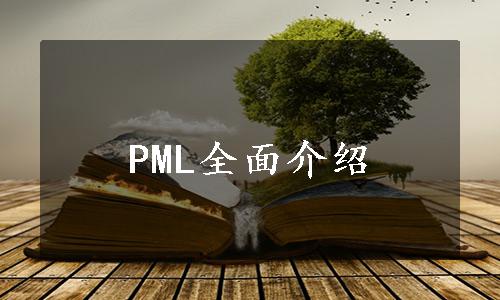 PML全面介绍