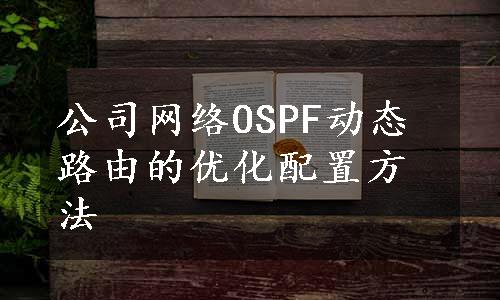 公司网络OSPF动态路由的优化配置方法