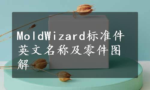 MoldWizard标准件英文名称及零件图解