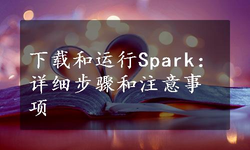 下载和运行Spark：详细步骤和注意事项