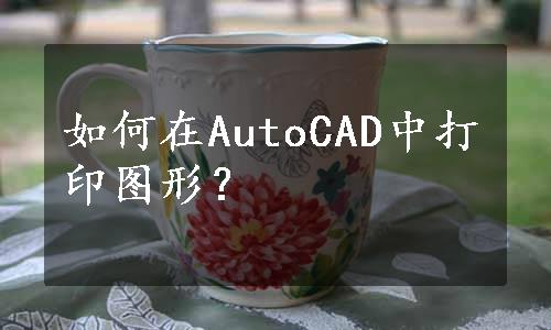 如何在AutoCAD中打印图形？