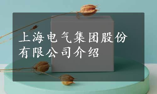 上海电气集团股份有限公司介绍