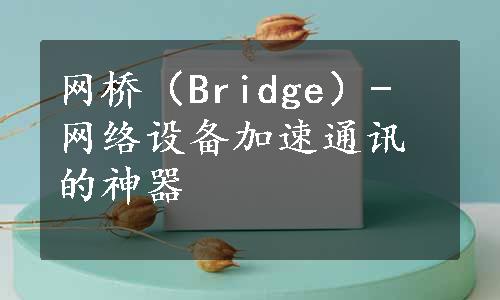 网桥（Bridge）- 网络设备加速通讯的神器