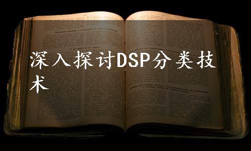 深入探讨DSP分类技术