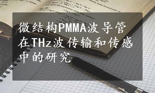 微结构PMMA波导管在THz波传输和传感中的研究