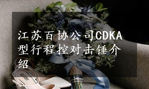 江苏百协公司CDKA型行程控对击锤介绍