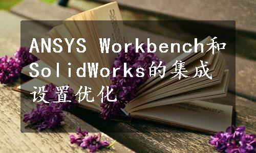 ANSYS Workbench和SolidWorks的集成设置优化