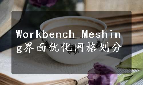 Workbench Meshing界面优化网格划分